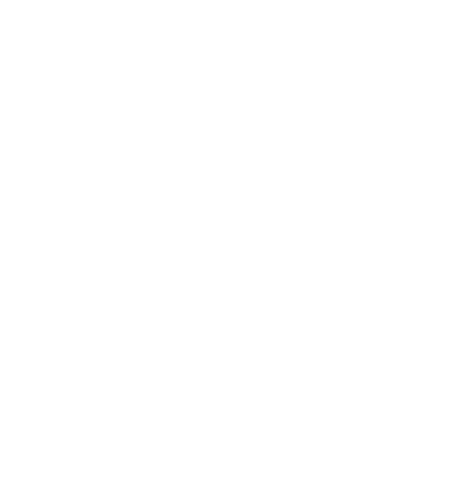 Estrela Decorativa