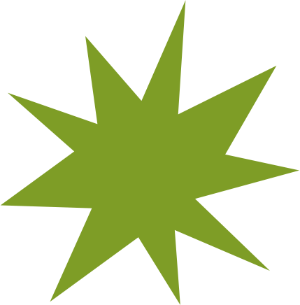 Estrela Decorativa